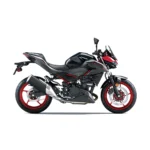 2025 Z500 ABS SE - Image 3