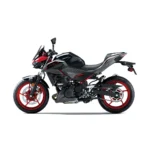 2025 Z500 ABS SE - Image 2